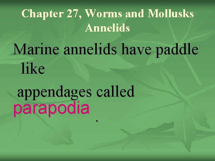 Chapter 27, Worms and Mollusks Annelids Marine annelids have paddle like appendages called parapodia.