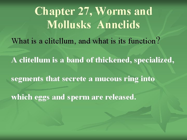 Chapter 27, Worms and Mollusks Annelids What is a clitellum, and what is its