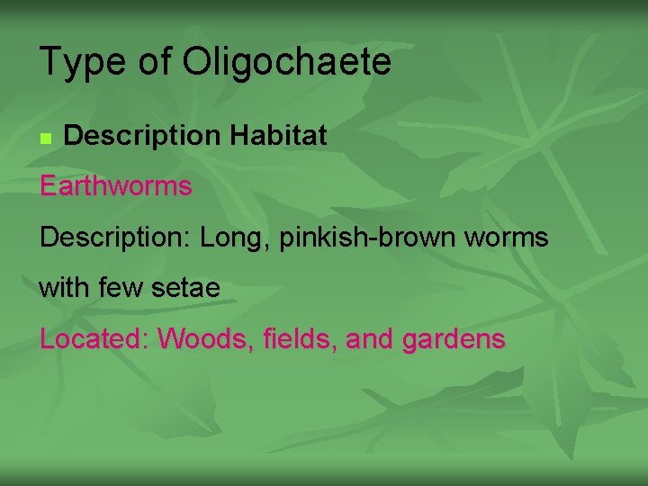 Type of Oligochaete n Description Habitat Earthworms Description: Long, pinkish-brown worms with few setae