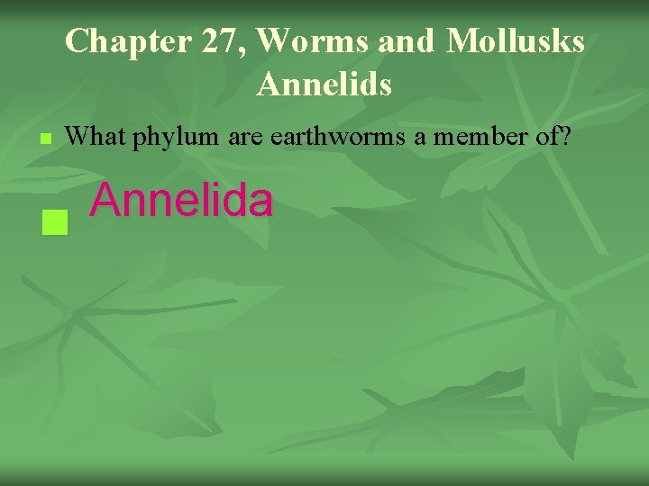 Chapter 27, Worms and Mollusks Annelids n What phylum are earthworms a member of?