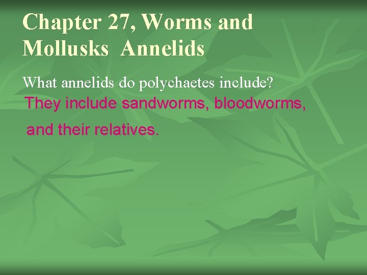 Chapter 27, Worms and Mollusks Annelids What annelids do polychaetes include? They include sandworms,