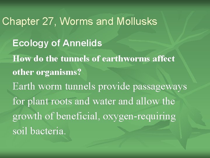Chapter 27, Worms and Mollusks Ecology of Annelids How do the tunnels of earthworms