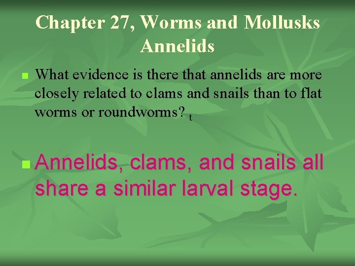 Chapter 27, Worms and Mollusks Annelids n n What evidence is there that annelids
