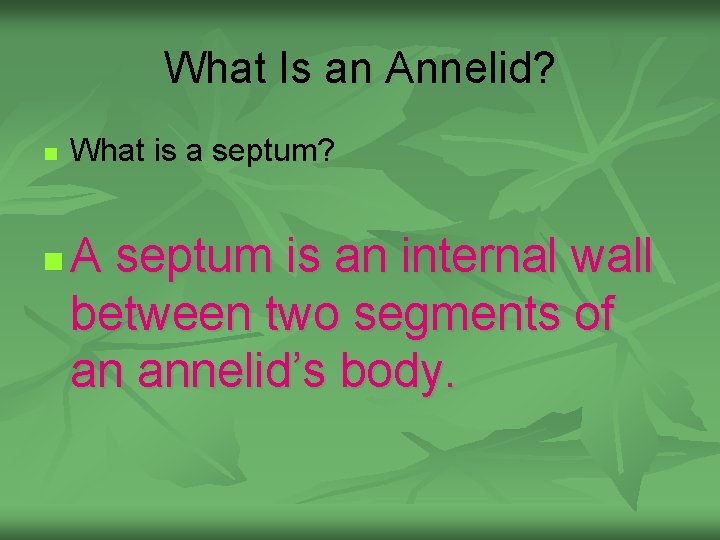 What Is an Annelid? n n What is a septum? A septum is an