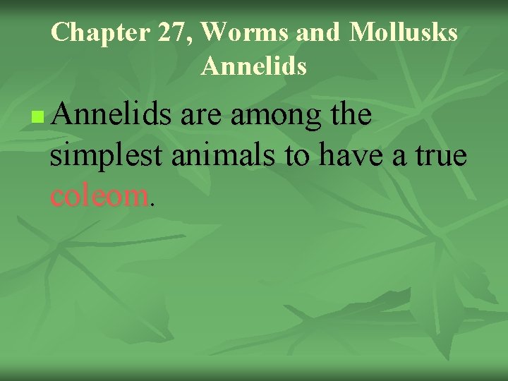 Chapter 27, Worms and Mollusks Annelids n Annelids are among the simplest animals to