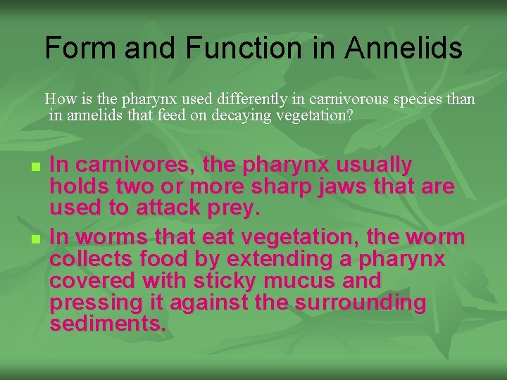 Form and Function in Annelids How is the pharynx used differently in carnivorous species