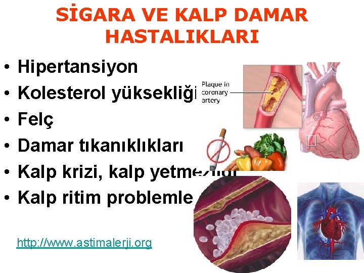 SİGARA VE KALP DAMAR HASTALIKLARI • • • Hipertansiyon Kolesterol yüksekliği Felç Damar tıkanıklıkları