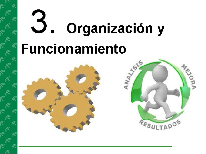 3. Organización y Funcionamiento 