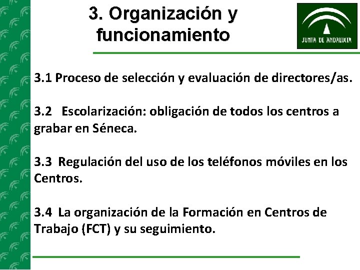 3. Organización y funcionamiento 3. 1 Proceso de selección y evaluación de directores/as. 3.