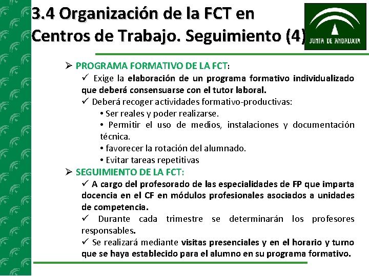 3. 4 Organización de la FCT en Centros de Trabajo. Seguimiento (4) PROGRAMA FORMATIVO