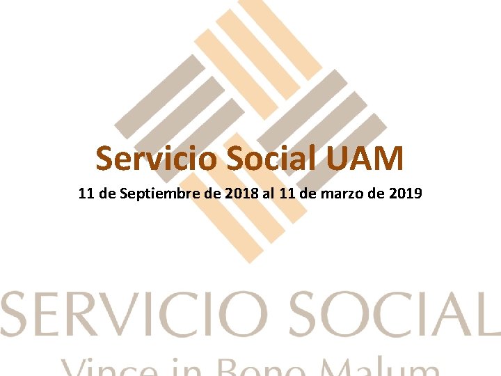 Servicio Social UAM 11 de Septiembre de 2018 al 11 de marzo de 2019