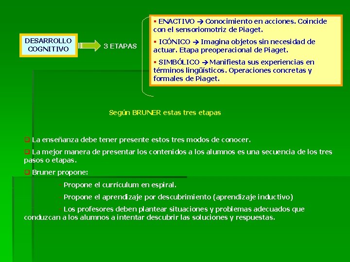 § ENACTIVO Conocimiento en acciones. Coincide con el sensoriomotriz de Piaget. DESARROLLO COGNITIVO 3