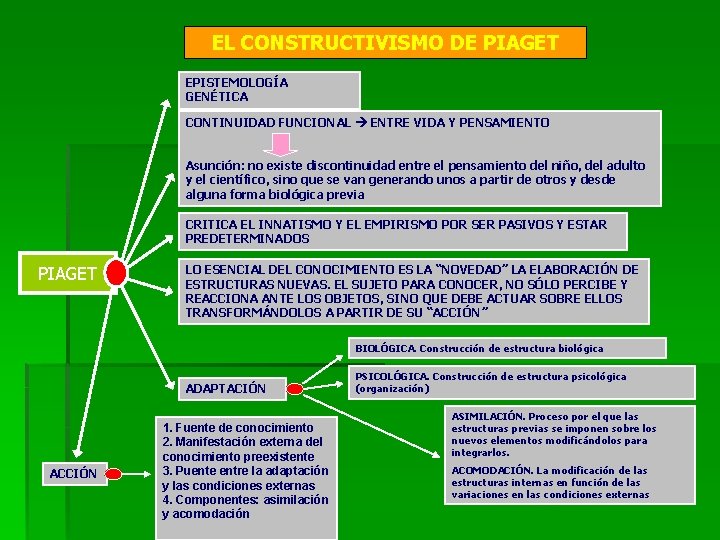 EL CONSTRUCTIVISMO DE PIAGET EPISTEMOLOGÍA GENÉTICA CONTINUIDAD FUNCIONAL ENTRE VIDA Y PENSAMIENTO Asunción: no