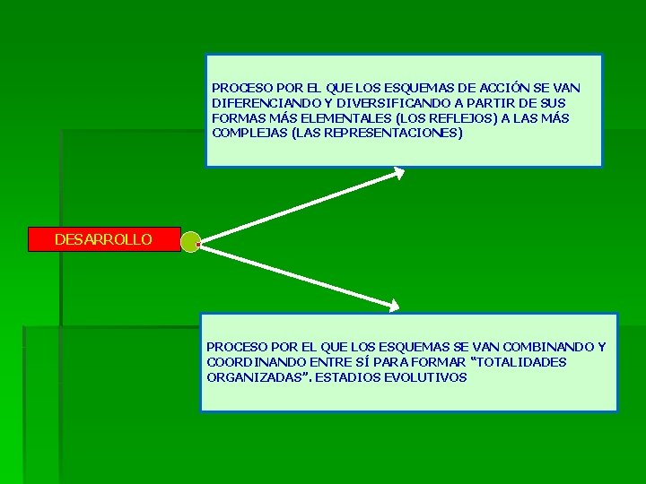 PROCESO POR EL QUE LOS ESQUEMAS DE ACCIÓN SE VAN DIFERENCIANDO Y DIVERSIFICANDO A