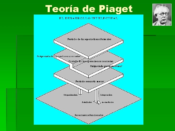 Teoría de Piaget 