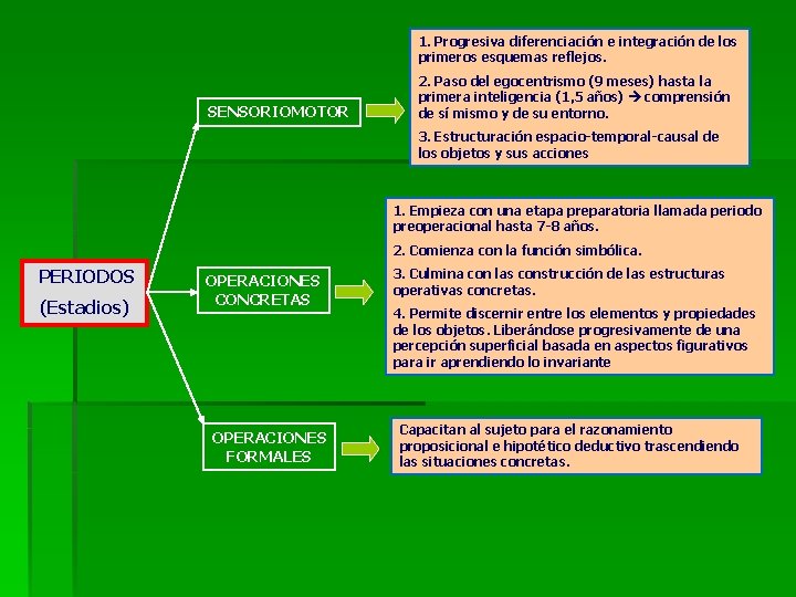 1. Progresiva diferenciación e integración de los primeros esquemas reflejos. SENSORIOMOTOR 2. Paso del