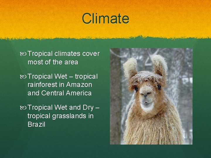 Climate Tropical climates cover most of the area Tropical Wet – tropical rainforest in