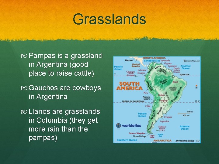 Grasslands Pampas is a grassland in Argentina (good place to raise cattle) Gauchos are