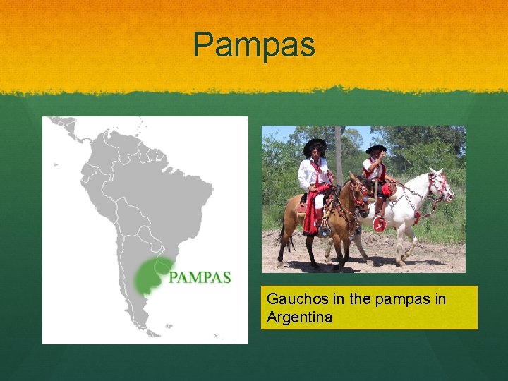 Pampas Gauchos in the pampas in Argentina 