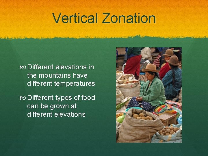 Vertical Zonation Different elevations in the mountains have different temperatures Different types of food