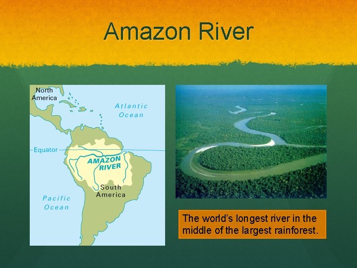Amazon River The world’s longest river in the middle of the largest rainforest. 