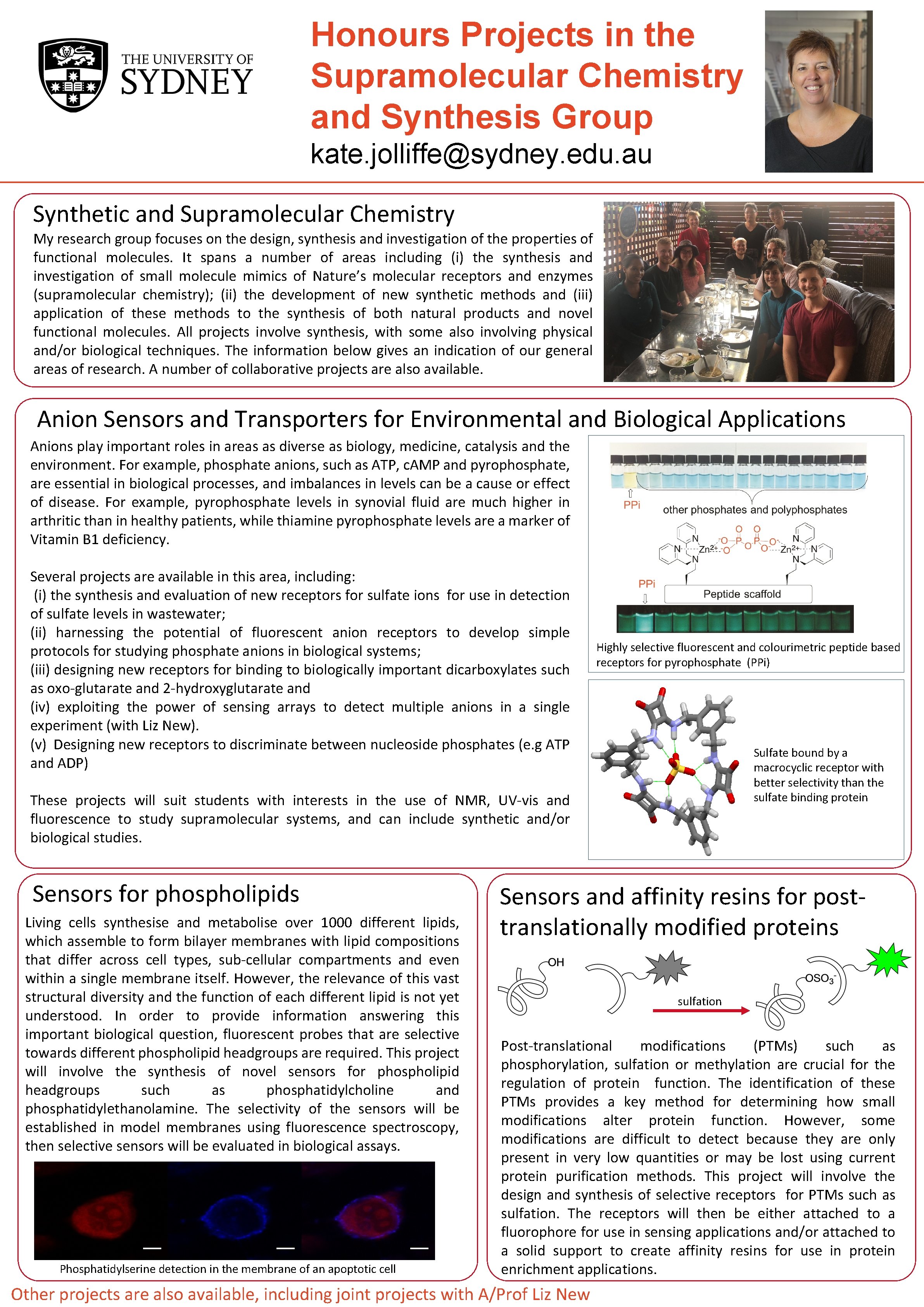 Honours Projects in the Supramolecular Chemistry and Synthesis Group kate. jolliffe@sydney. edu. au Synthetic