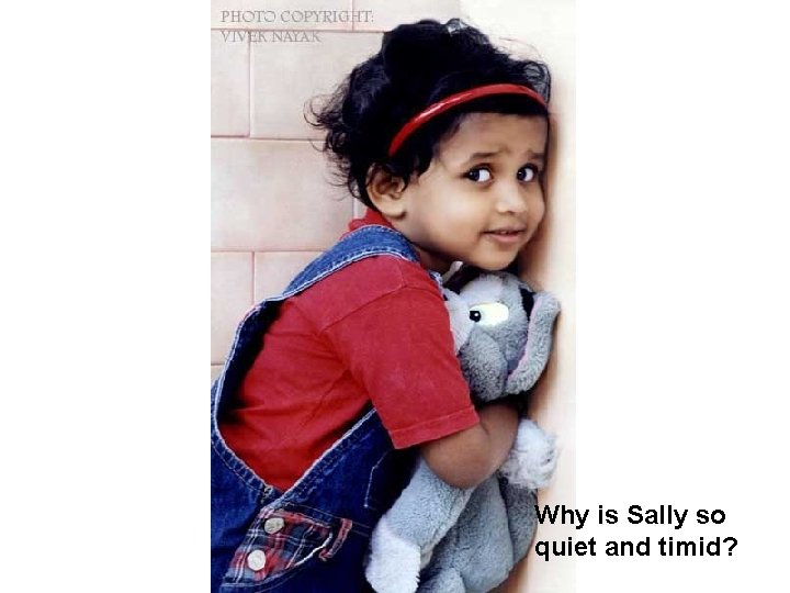 Why is Sally so quiet and timid? 