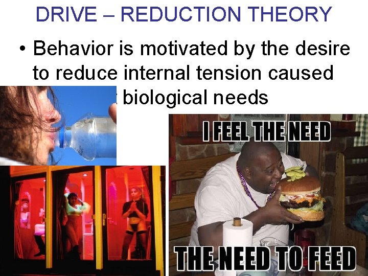DRIVE – REDUCTION THEORY • Behavior is motivated by the desire to reduce internal