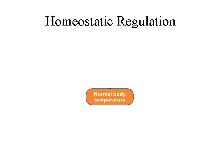 Homeostatic Regulation 