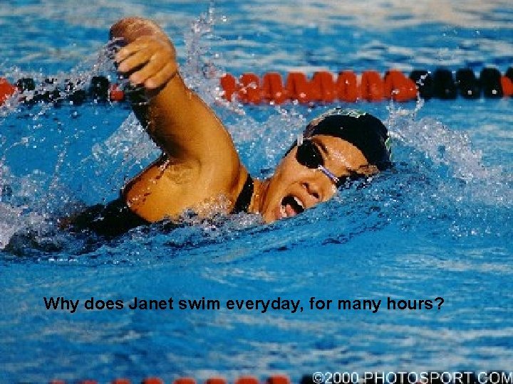 Why does Janet swim everyday, for many hours? 