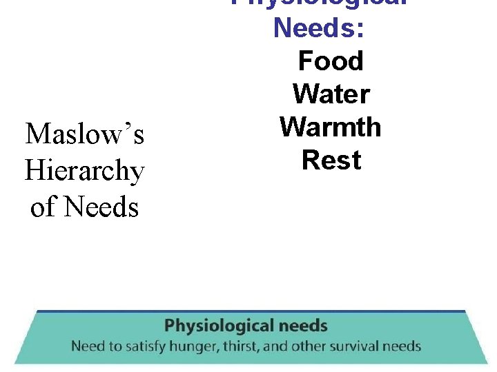 Maslow’s Hierarchy of Needs Physiological Needs: Food Water Warmth Rest 