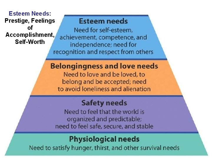 Esteem Needs: Prestige, Feelings of Accomplishment, Self-Worth 