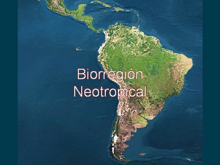 Biorregión Neotropical 