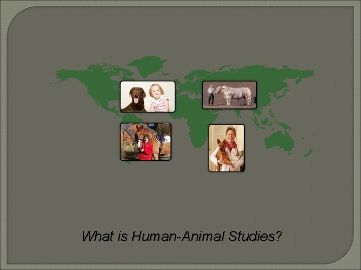 What is Human-Animal Studies? 