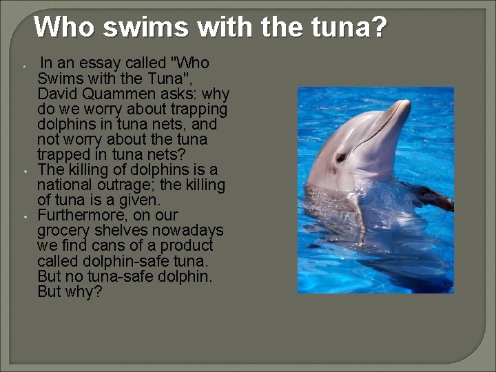 Who swims with the tuna? • • • In an essay called "Who Swims