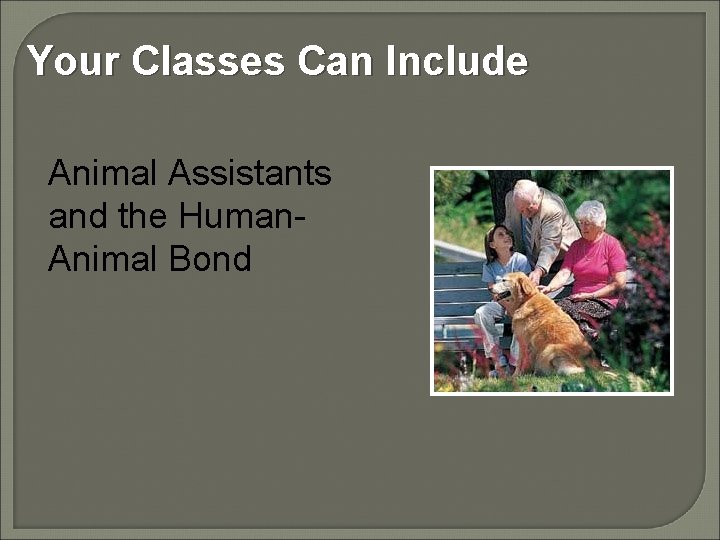 Your Classes Can Include Animal Assistants and the Human. Animal Bond 