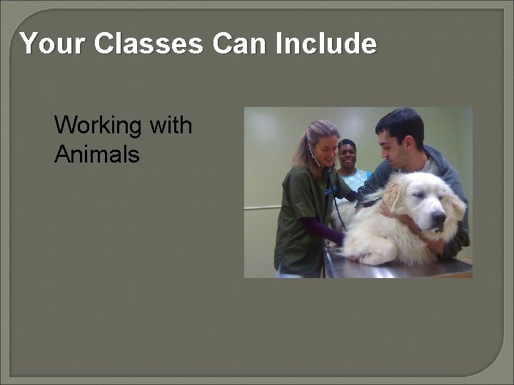 Your Classes Can Include Working with Animals 