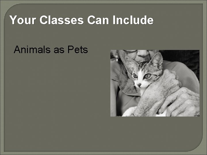 Your Classes Can Include Animals as Pets 