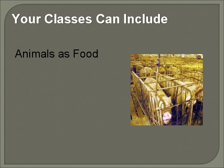 Your Classes Can Include Animals as Food 