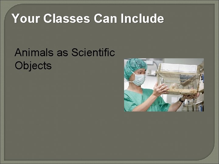Your Classes Can Include Animals as Scientific Objects 