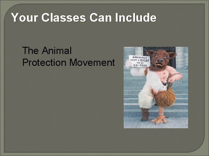 Your Classes Can Include The Animal Protection Movement 