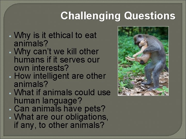 Challenging Questions • • • Why is it ethical to eat animals? Why can’t