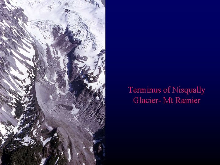 Terminus of Nisqually Glacier- Mt Rainier 