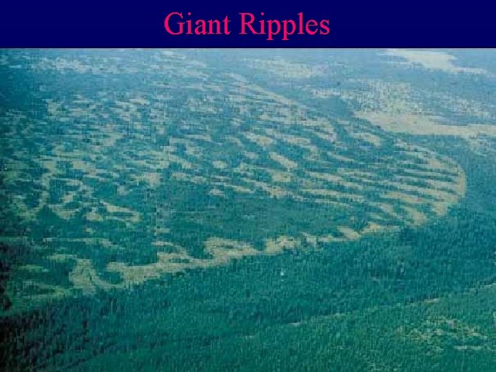 Giant Ripples 