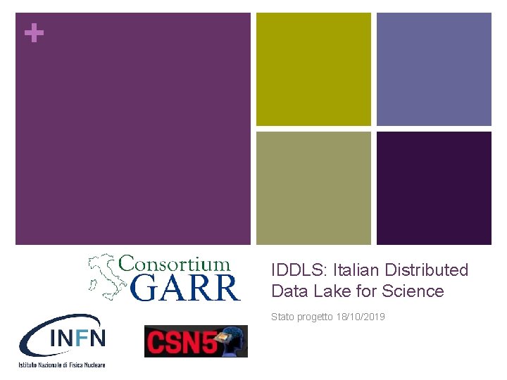 + IDDLS: Italian Distributed Data Lake for Science Stato progetto 18/10/2019 