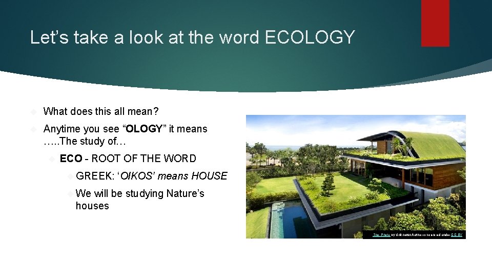 Let’s take a look at the word ECOLOGY What does this all mean? Anytime
