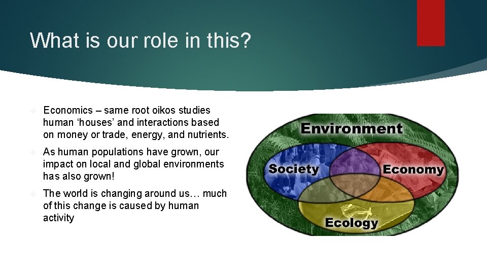 What is our role in this? Economics – same root oikos studies human ‘houses’