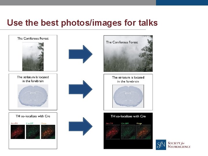 Use the best photos/images for talks 