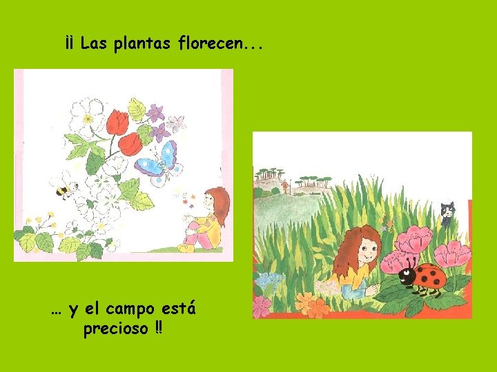 ¡¡ Las plantas florecen. . . … y el campo está precioso !! 