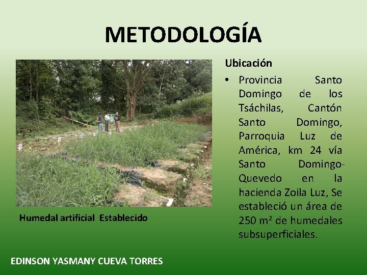 METODOLOGÍA Humedal artificial Establecido EDINSON YASMANY CUEVA TORRES Ubicación • Provincia Santo Domingo de